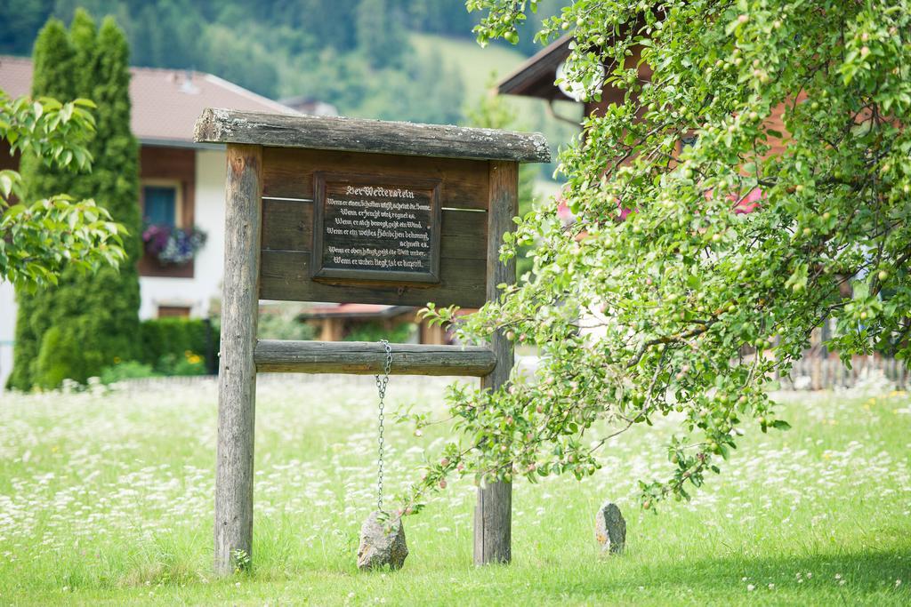 Steuxner